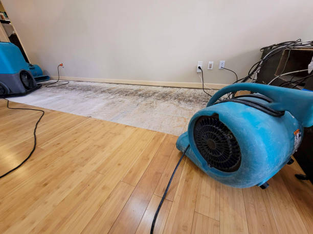Professional Water Damage Repair technician working in Pemberton, OH