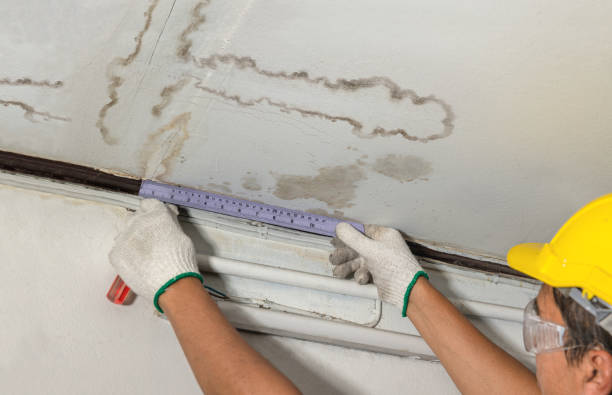 Affordable Water Damage Repair solutions in Pemberton, OH